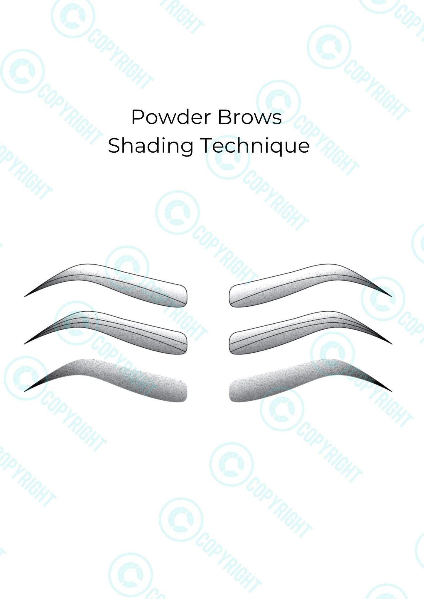 Powder Brows - Shading Technique -  Digital Download - SMPU - Beauty Salon - Beauty Training - Training Manual