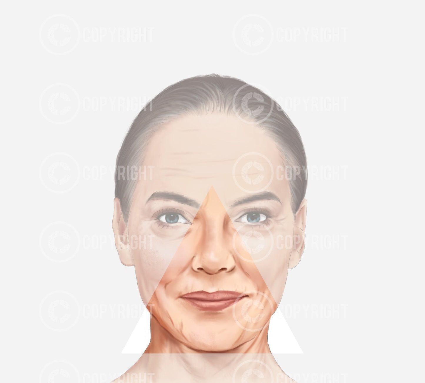 Bundle | Ageing of the Face and Neck | Botox & Filler Injector | Anatomy | Poster | Aesthetics | Dermatology | Medspa| Digital Download