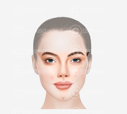 Bundle | Ageing of the Face and Neck | Botox & Filler Injector | Anatomy | Poster | Aesthetics | Dermatology | Medspa| Digital Download