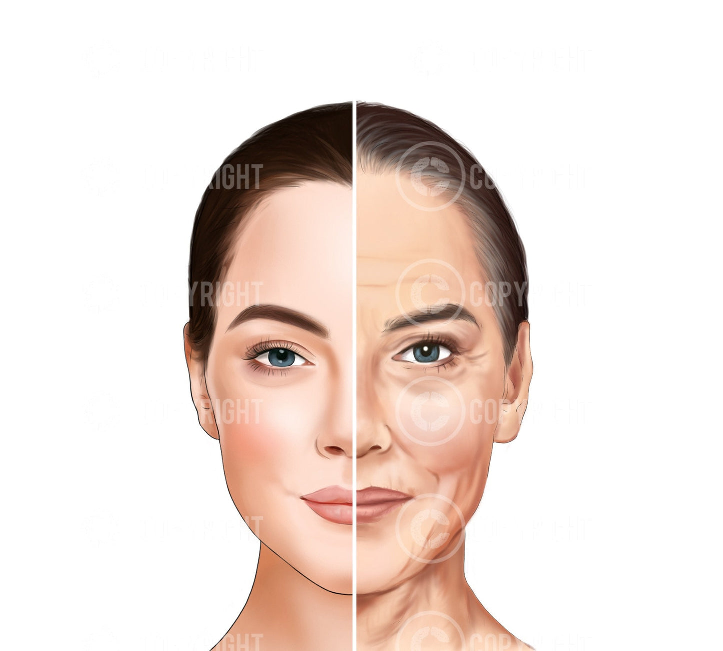 Bundle | Ageing of the Face and Neck | Botox & Filler Injector | Anatomy | Poster | Aesthetics | Dermatology | Medspa| Digital Download