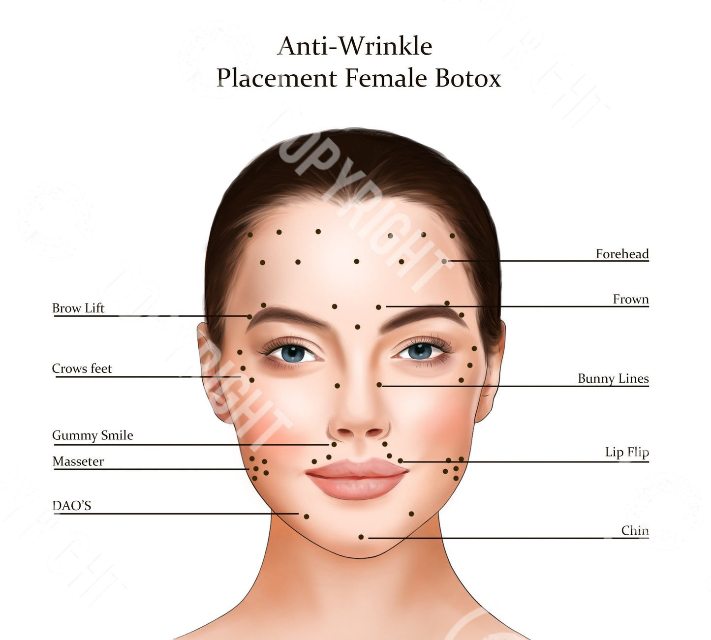 Botox Injection Points Bundle | Botox & Filler Injector | Anatomy | Poster | Art | Aesthetics | Dermatology | Medspa| Digital Download